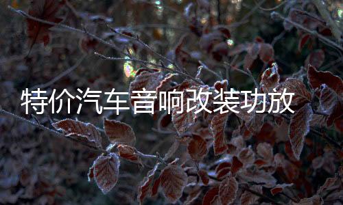 特价汽车音响改装功放 2路二声道功放 发烧车载功放推低音炮喇叭