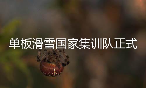 单板滑雪国家集训队正式成立 23名选手入首期名单