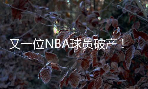 又一位NBA球员破产！无力支付5万抚养费，生涯共赚1.2亿挥霍一空