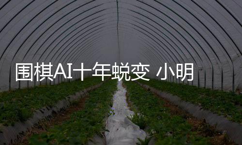 围棋AI十年蜕变 小明围棋机器人助力行业革新