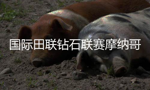 国际田联钻石联赛摩纳哥站 巩立姣获女子铅球冠军