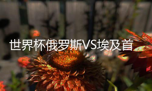 世界杯俄罗斯VS埃及首发阵容预测 比赛看点分析