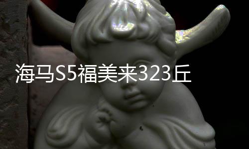 海马S5福美来323丘比特骑士海福星普力马M3瓦尔塔蓄电池汽车电瓶