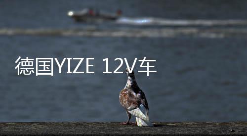 德国YIZE 12V车载低音炮音响改装重低音汽车低音炮高端后备箱专用