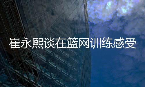 崔永熙谈在篮网训练感受:施罗德西蒙斯人不错