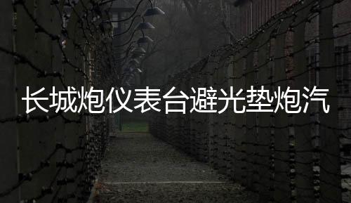 长城炮仪表台避光垫炮汽车内饰装饰用品配件中控台改装防滑防晒垫