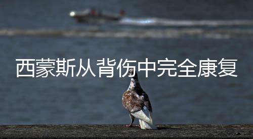 西蒙斯从背伤中完全康复 将无限制参加训练营