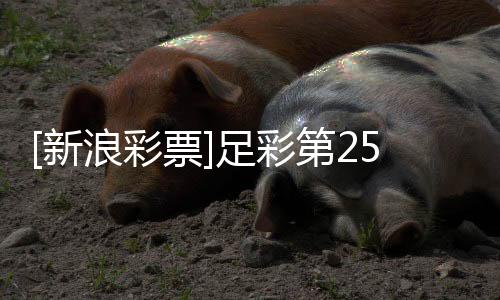 [新浪彩票]足彩第25173期任九：维拉波尔图稳胆